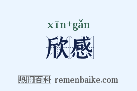 欣感是什么意思的图片